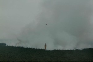 1.000 Anggota Satgas Ditarik, Cagar Biosfer di Riau Masih Membara