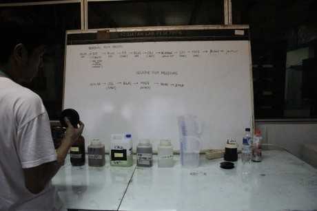 Tak Selalu Aman, Film Digital Bisa Diubah ke Versi Analog