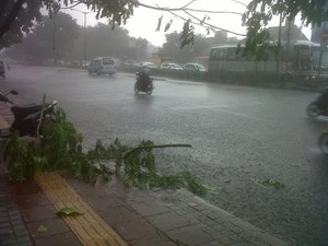 Hujan Deras dan Angin Kencang Landa Rawamangun, Dahan Pohon Berjatuhan