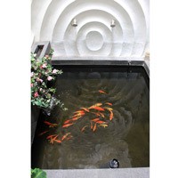 Kasihan Dinding Polos, Istri Sahrul Gunawan Buat Relief Unik di Tepi Kolam Ikan