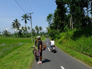 Cara Asyik Menyusuri Pedalaman Bali: Bersepeda Kintamani-Ubud!