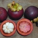 Ini Penyebab Manggis RI Tembus Pasar Selandia Baru yang Ketat