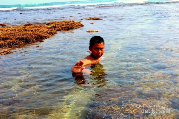 Pantai Watukarung Great Barrier Reef Ala Pacitan