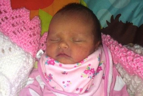 Bayi Usia 6 Hari Ini Digigit Anjing Hingga Tewas Saat Tidur di Kereta Bayi