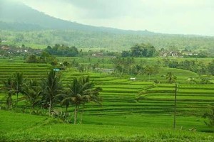 Ini Dia 10 Destinasi Top di Indonesia Versi TripAdvisor