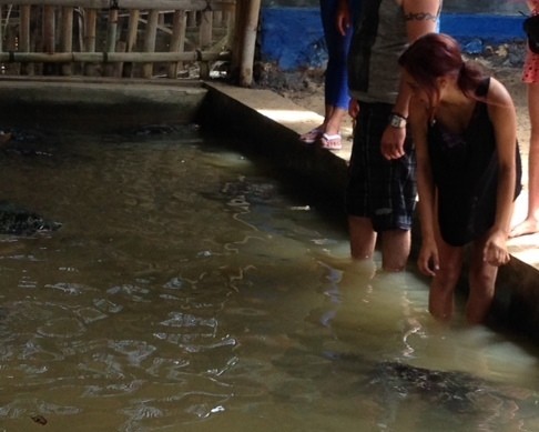 Melihat Bule Cantik Main Bareng Penyu di Bali