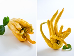 Si Tangan Buddha yang Asam Segar dan Kaya Khasiat