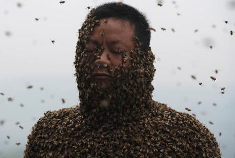 Hii! Ratusan Ribu Lebah Selimuti Tubuh Pria yang Nyaris Telanjang Ini