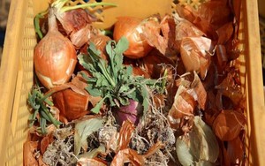 Jepang Hadapi Krisis Makanan Karena Perubahan Cuaca Drastis