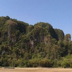 Investor Semen Antre Garap Perbukitan Kapur Perawan di Kaltim