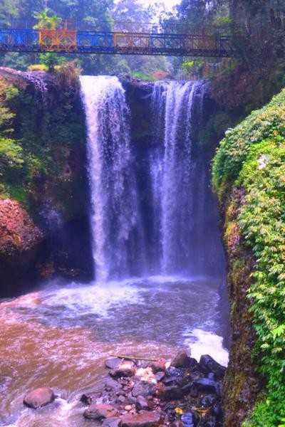 Objek Wisata Taman Hutan Raya Juanda Bandung Yang Istimewa