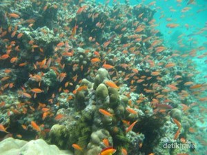 Sabang, Kota Kecil yang Indahnya Tiada Dua