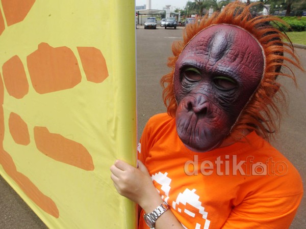 Orangutan dan Hanoman Demo di Istana