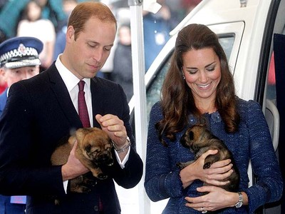 Aww, Kate Middleton Bermain dengan Anak Anjing