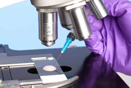 Protein Pemicu Pembuahan Ditemukan, Diharapkan Bisa Obati Mandul