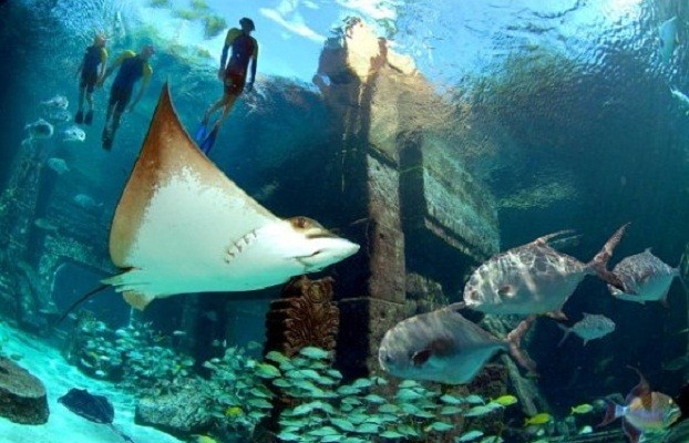 6 Akuarium Hotel Paling Keren di Dunia