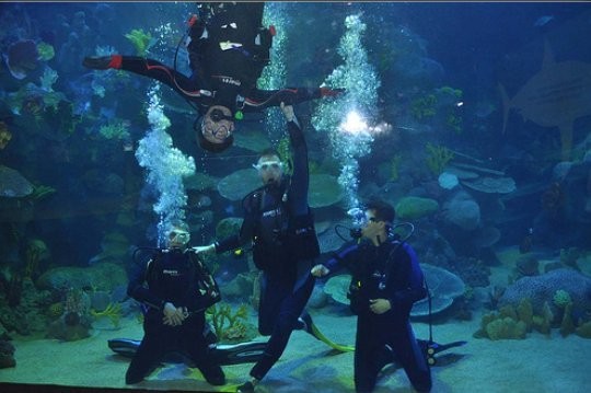 Inilah 5 Akuarium Paling Top di Eropa