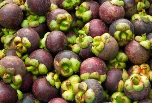 Manggis dan Kelapa Banyuwangi Tembus Pasar Jepang dan Thailand