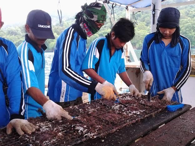 Mutiara Made in Banyuwangi Tembus Pasar Australia