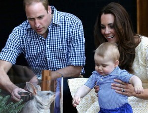 Foto: Wajah Gemas Pangeran George Saat Bermain dengan Kelinci