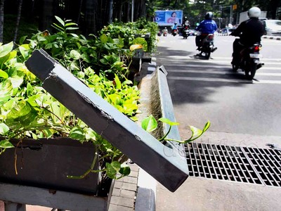 Pot Tanaman Hias di Jalan Sudirman Rusak