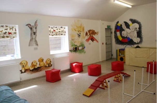 Hotel Mewah di Inggris Ini... Khusus Untuk Hewan Peliharaan