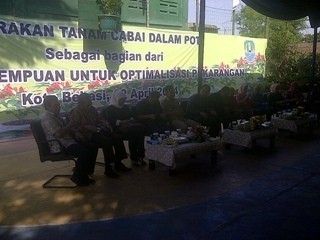 Duet Mendag Lutfi-Mentan Suswono Tanam Cabai di Perumahan Bekasi