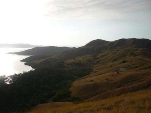 Ini Dia Bukit Permadani di Pulau Rinca