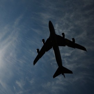 Ini Gambaran Bandara Kebun Binatang Pertama Dunia di Jambi