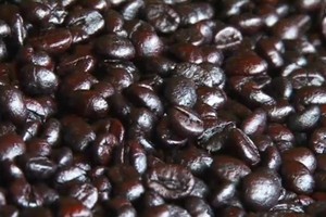 Kopi Arabika, Emas Dari Aceh Tengah