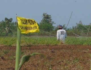 PLTU Batang Baru Kelar 2019, Molor 2 Tahun dari Target