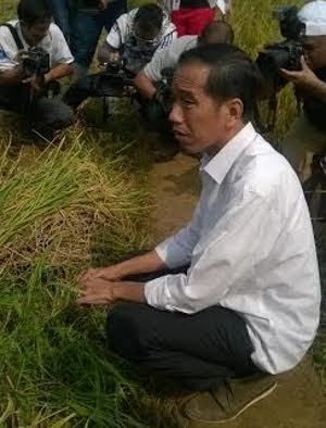 Blusukan ke Bogor, Jokowi Temui Petani