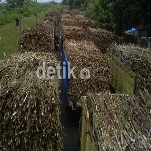 Bos RNI Minta Rencana Bulog Impor 350.000 Ton Gula Dibatalkan