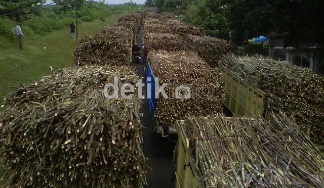 RI Sempat Jadi Eksportir Gula Terbesar ke-2, Kini Importir Terbesar ke-3