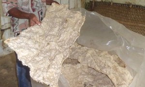 Kerupuk Tangguk dan Kerupuk Ikan Jumbo, Kerupuk Raksasa yang Populer