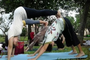 Yuk! Mengintip Serunya Melakukan Yoga di Taman