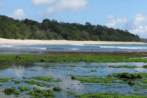 Garuda ke Banyuwangi, Ini 7 Pantai yang Harus Dikunjungi