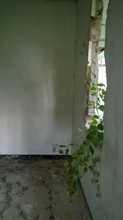 Melihat dari Dekat Lokasi Emon Cabuli Bocah