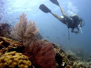 Wuih.... Pejabat Mahkamah Agung Rapat di Wakatobi Sultra