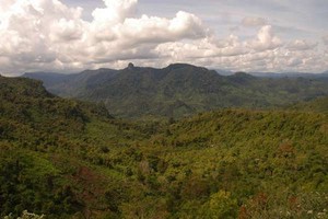 Hutan Tropis Sumatera, Situs Warisan Dunia yang Dalam Bahaya