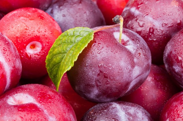 Agar Tak Mudah Sakit, Wanita Hamil Sebaiknya Rutin Makan Plum