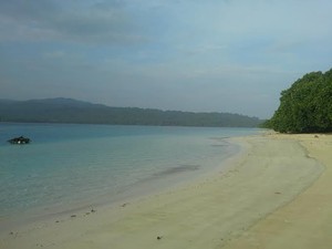Menengok Taman Nasional Ujung Kulon, Sisa Hutan Hujan Tropis di Pulau Jawa