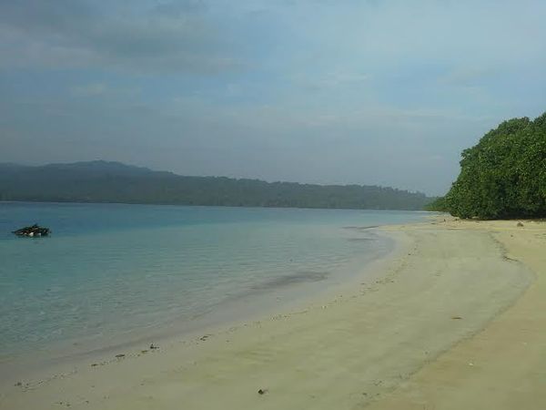 Menengok Taman Nasional Ujung Kulon Sisa Hutan Hujan Tropis