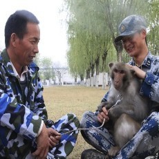 Kera-kera Terlatih Menjaga Tentara China Tetap Aman