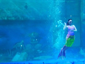 Aksi Putri Duyung Cantik di Ocean Dream Samudera, Ancol