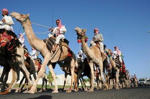 Antara Virus MERS dan Unta