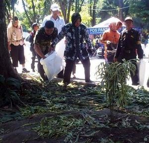 Dimutasi ke Indonesia Timur, Para Perwira Lantas Diminta 