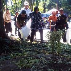 Bagi-bagi Es Krim Gratis Rusak Taman, Risma akan Tuntut Panitia Acara