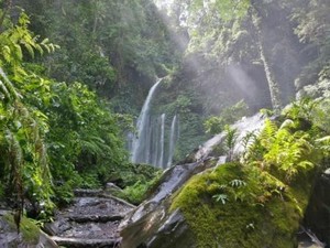 Pesona Air Terjun Sendang Gile & Tiu Kelep di Lombok