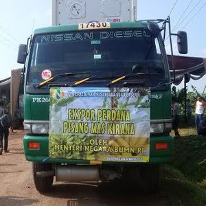 Dahlan Ingin RI Jadi Eksportir Buah Tropis Terbesar Dunia